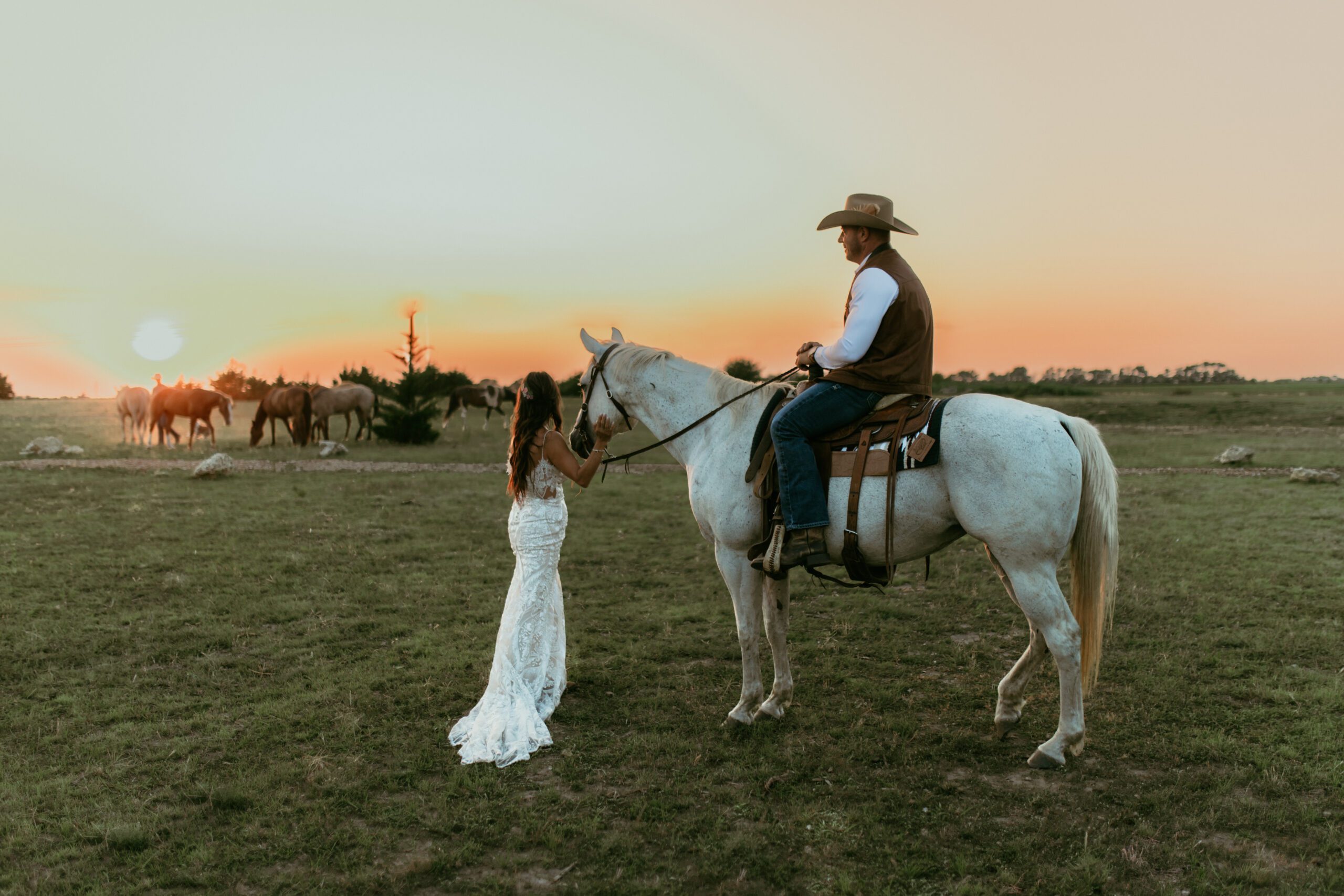 Diamond Springs Ranch Wichita KS